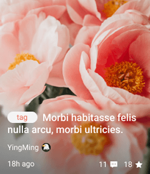 Lifestyle Media Example